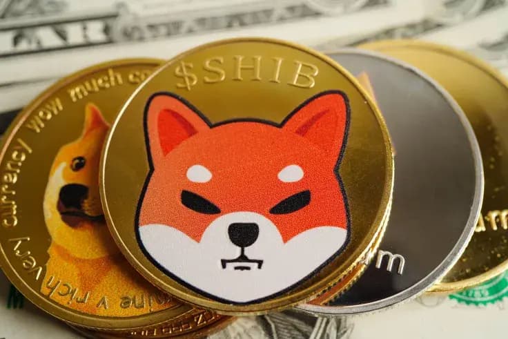 Ethereum's $3,000 Push Signals Anomalous Shiba Inu (SHIB) Netflow Across Tier-1 Exchanges