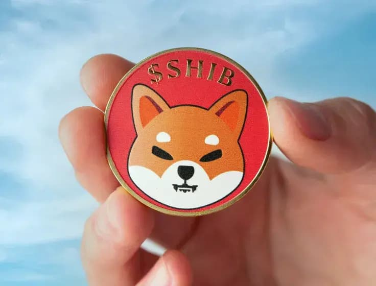 Shiba Inu sees inflows rise to 465 trillion SHIB, price steadies above $0.000005