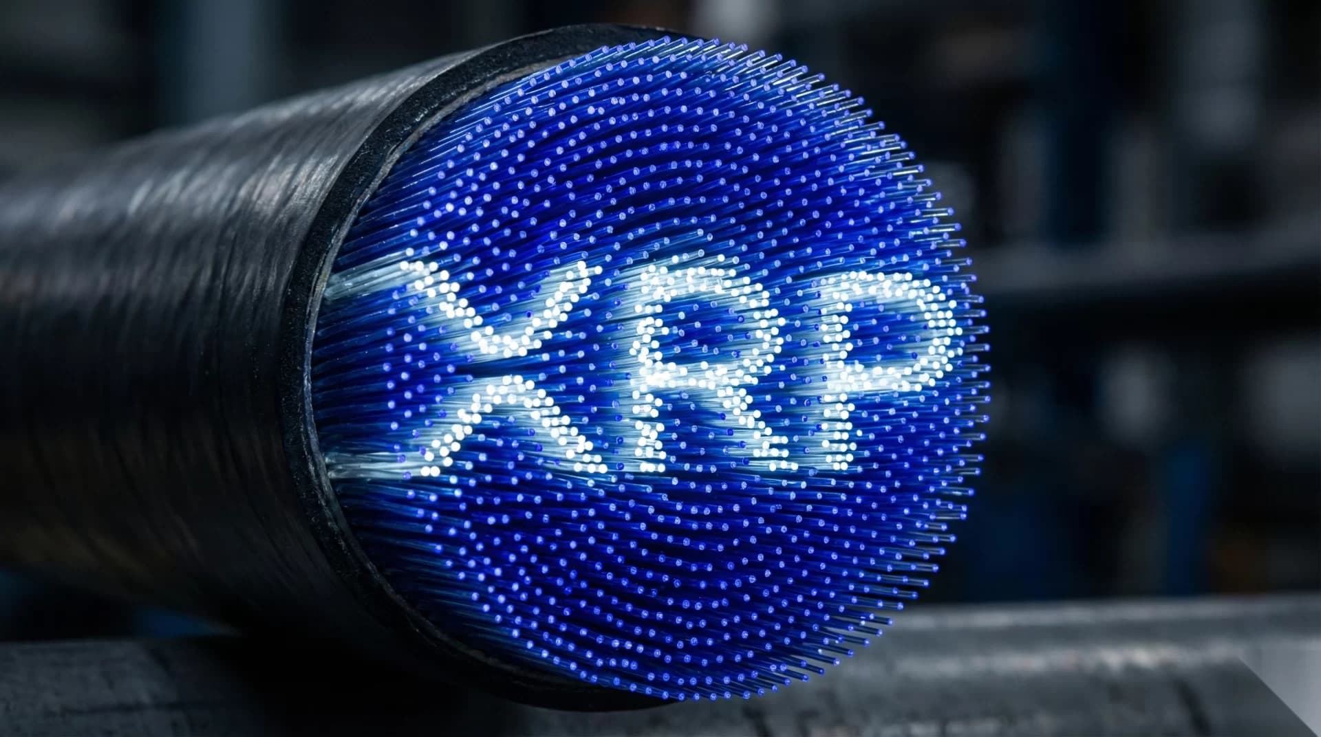 Citigroup teams up with Coinbase to offer stablecoin payments, analyst projects $10 XRP