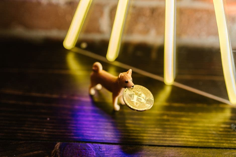 Shiba Inu gains regulatory approval in Japan, joins Laser Digital’s approved coin list