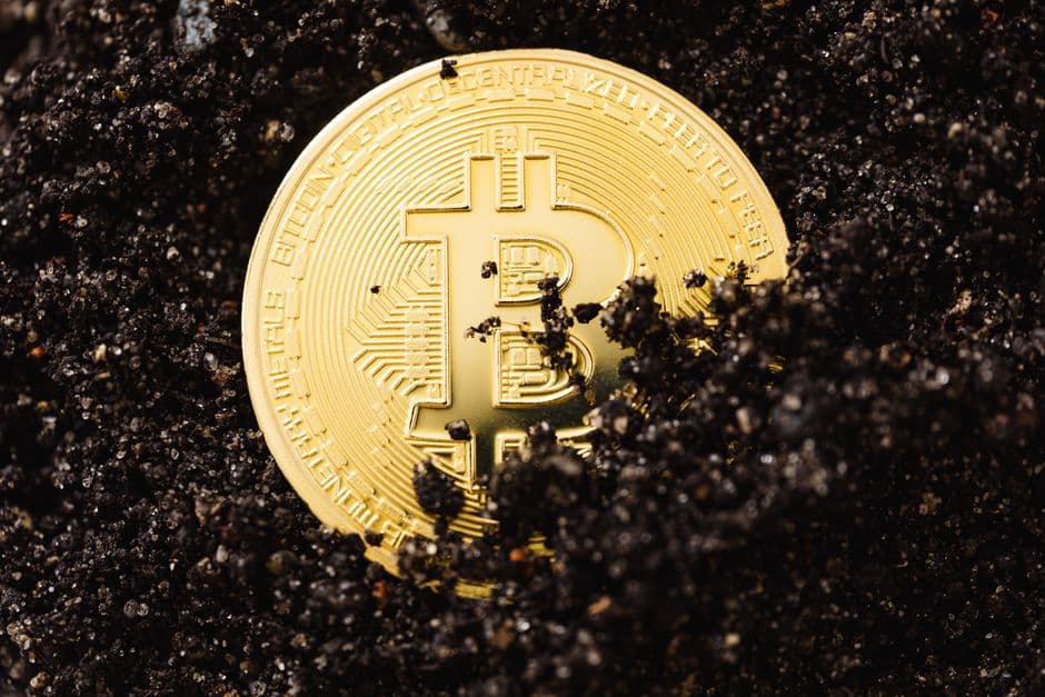 Zano restarts chain at block 3,833,000 after exploit