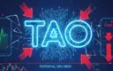 NEAR Protocol Leads AI Model Preferences for Q4; TAO Offers High-Beta Alternative; ICP Remains Laggard