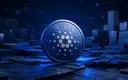 Midnight passes 1 million transactions as daily activity climbs