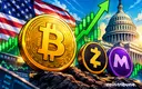 Bitcoin passes above $80,000 again, but Zcash and MemeCore perform better