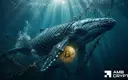 $200M Bitcoin hits exchanges in 24 hours – But a $903M whale buy absorbs the pressure