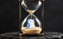 Pudgy Penguins without its own blockchain from December 15: what happens to PENGU now?