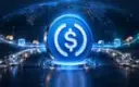 USDC Network Fees in 2026: Ethereum vs Solana vs Other Chains, Priced to the Cent